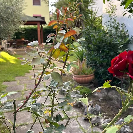 Bed & Breakfast La Casa Di Gemma